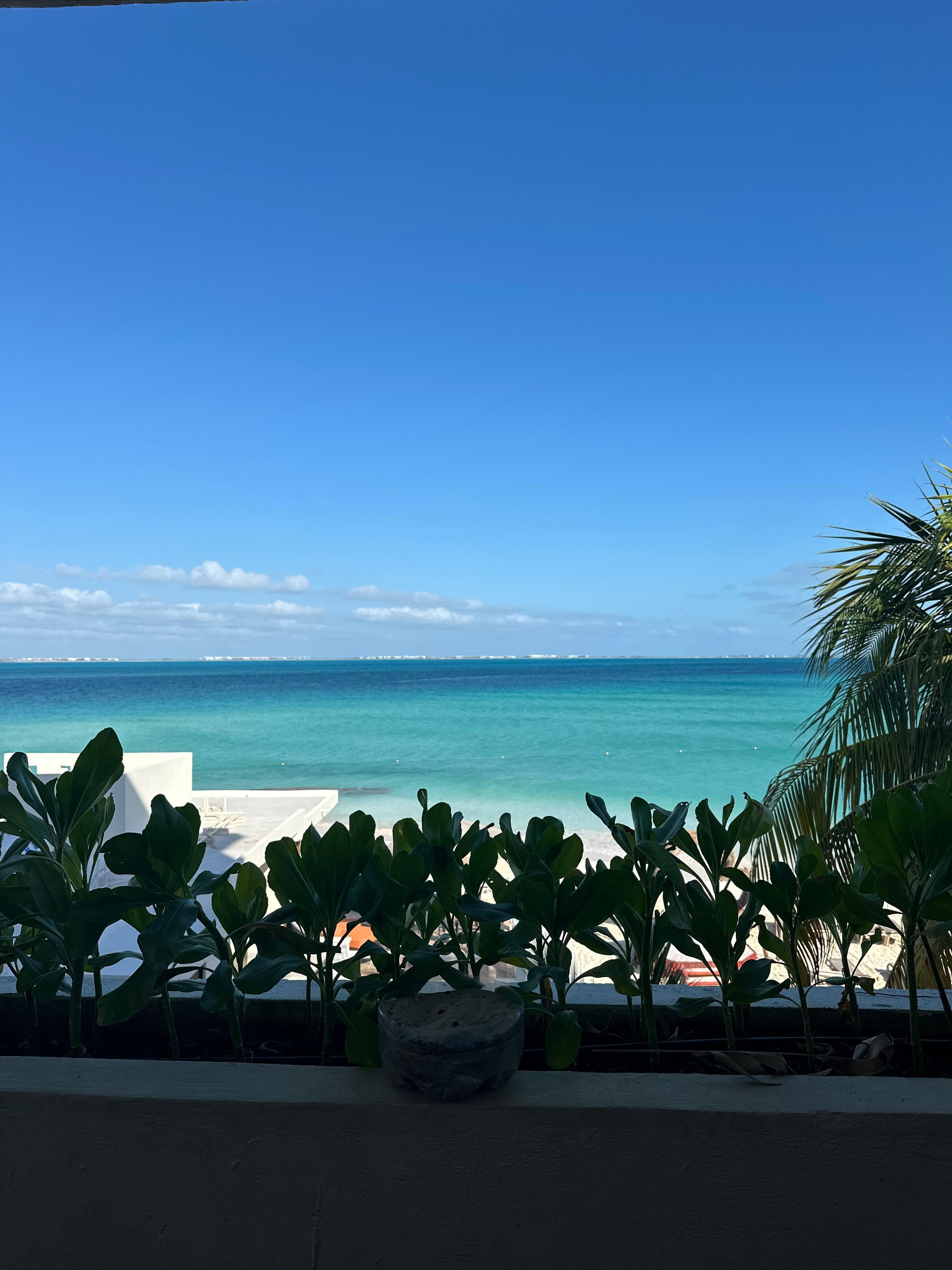 View from room