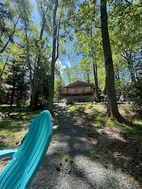 View from the backyard