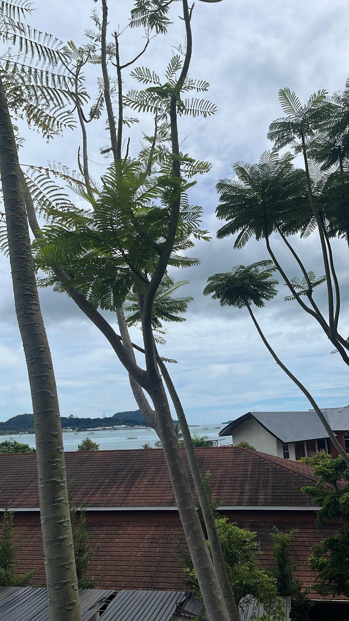 Location is great, pools are great