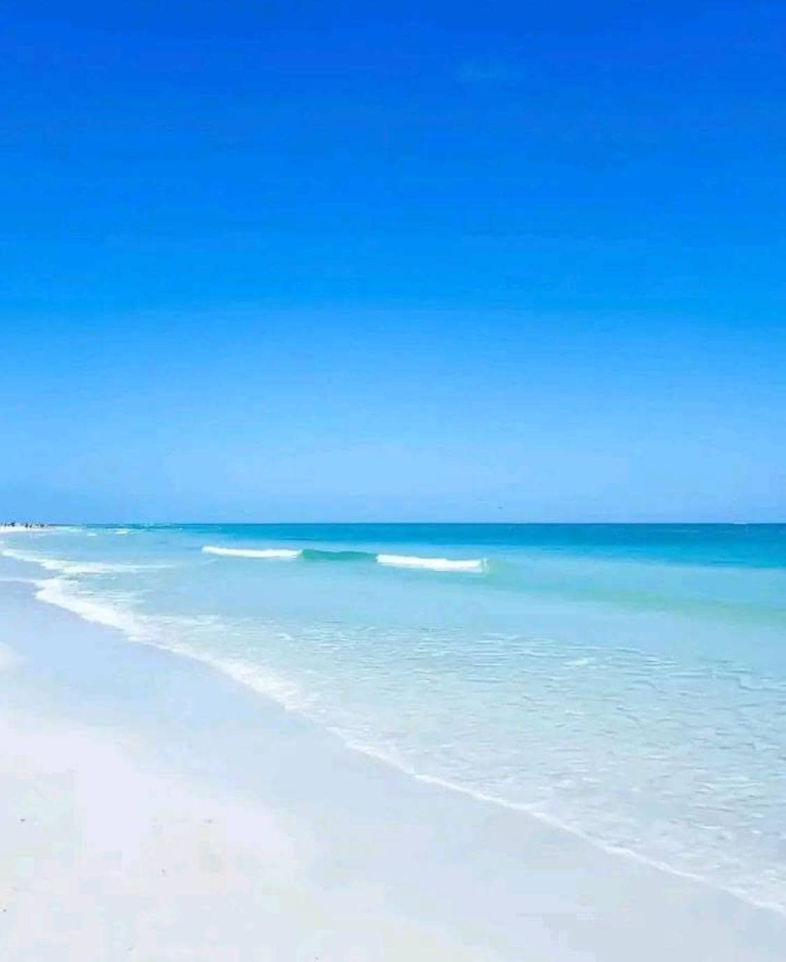 Siesta Beach just down the road 