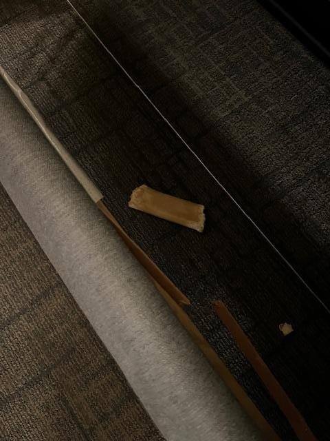 MMM Dog Bone...