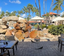 Outside the Palm Rest for breakfast.