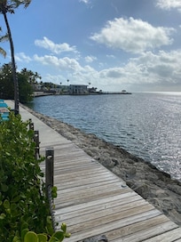 View from the back dock