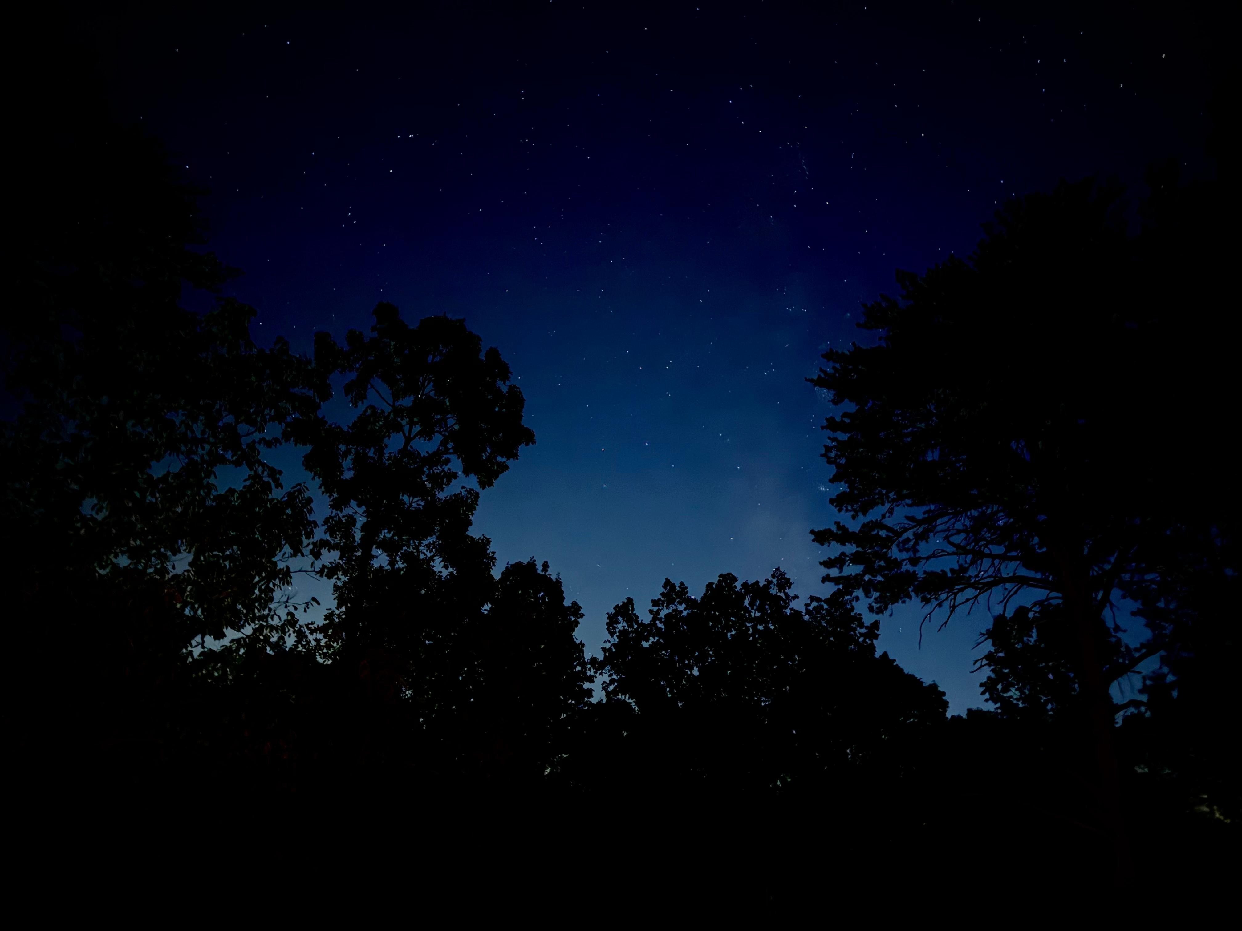 Stars were top-notch!