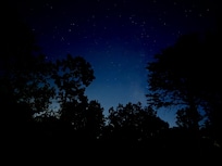 Stars were top-notch!