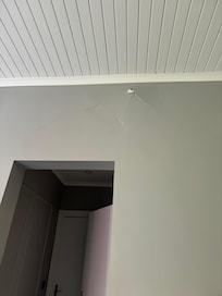 Plaster falling off