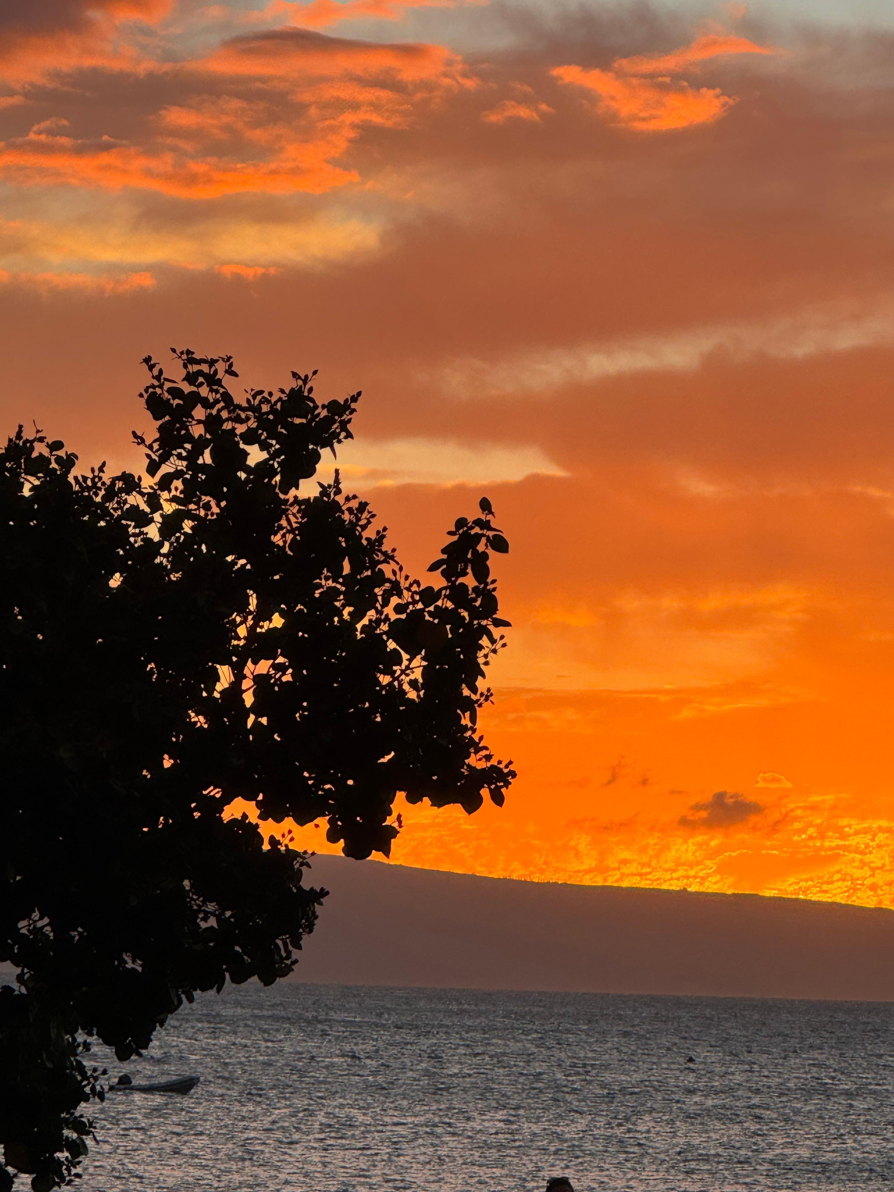 Sunset right outside our door (well a few yards away)