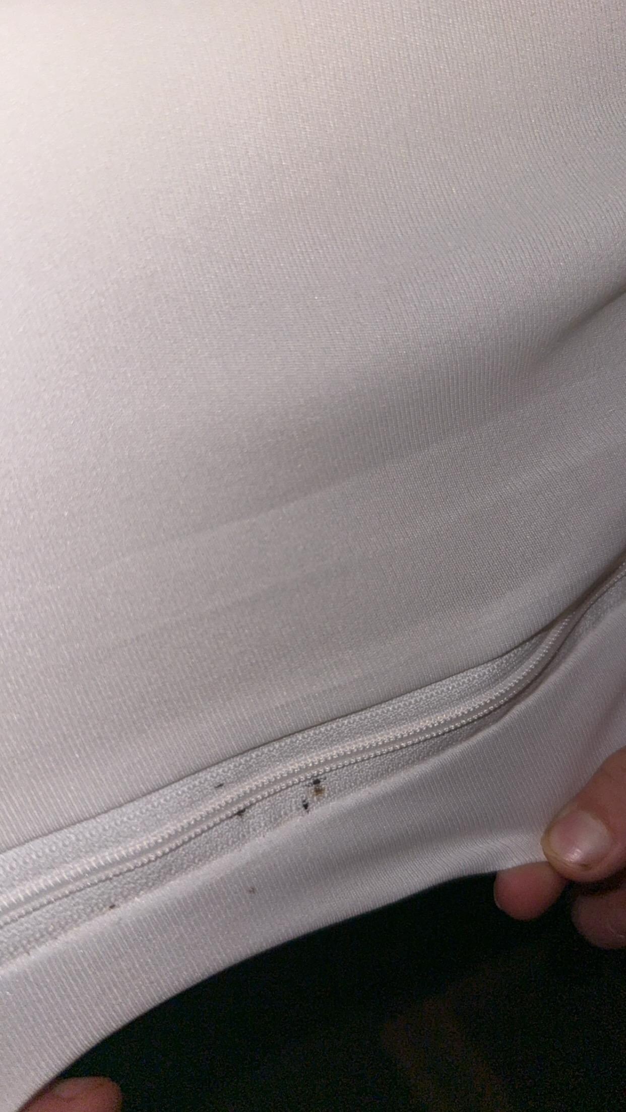 Bedbugs 