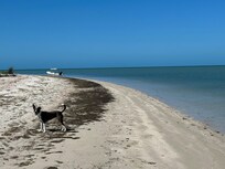 Things to see and smell.