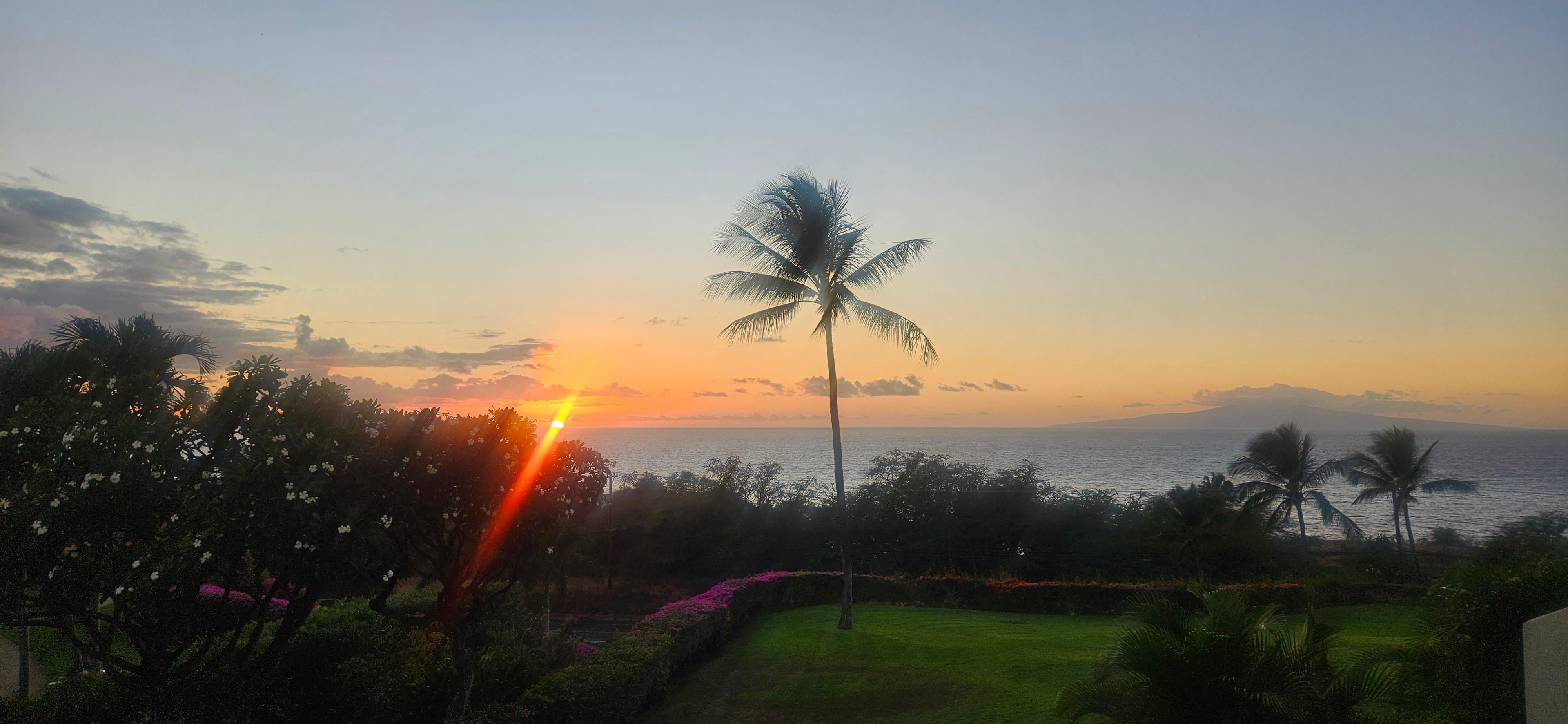 View from the lanai