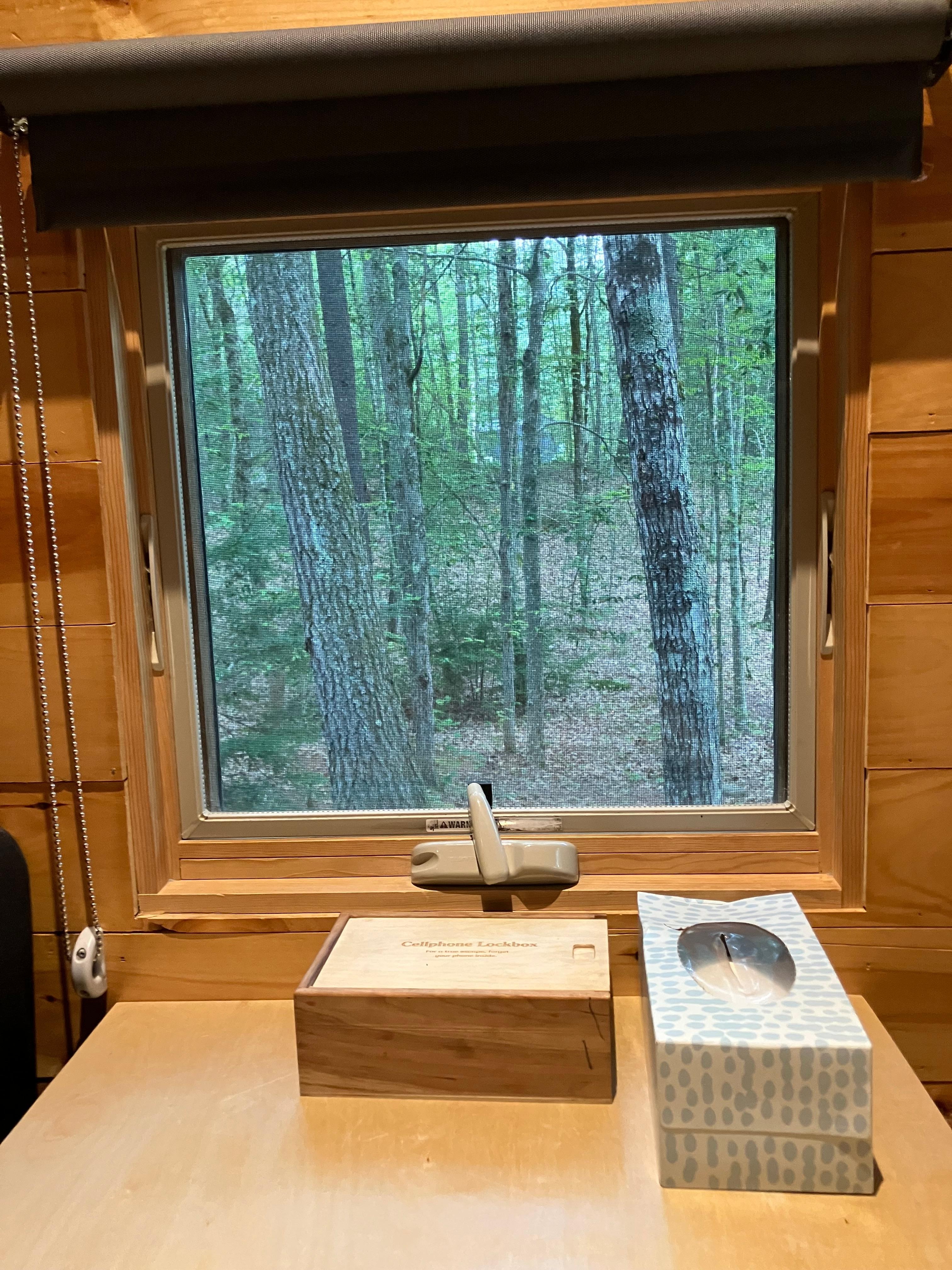 Looking out from table