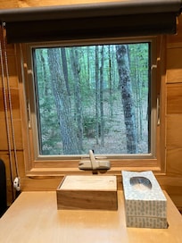 Looking out from table