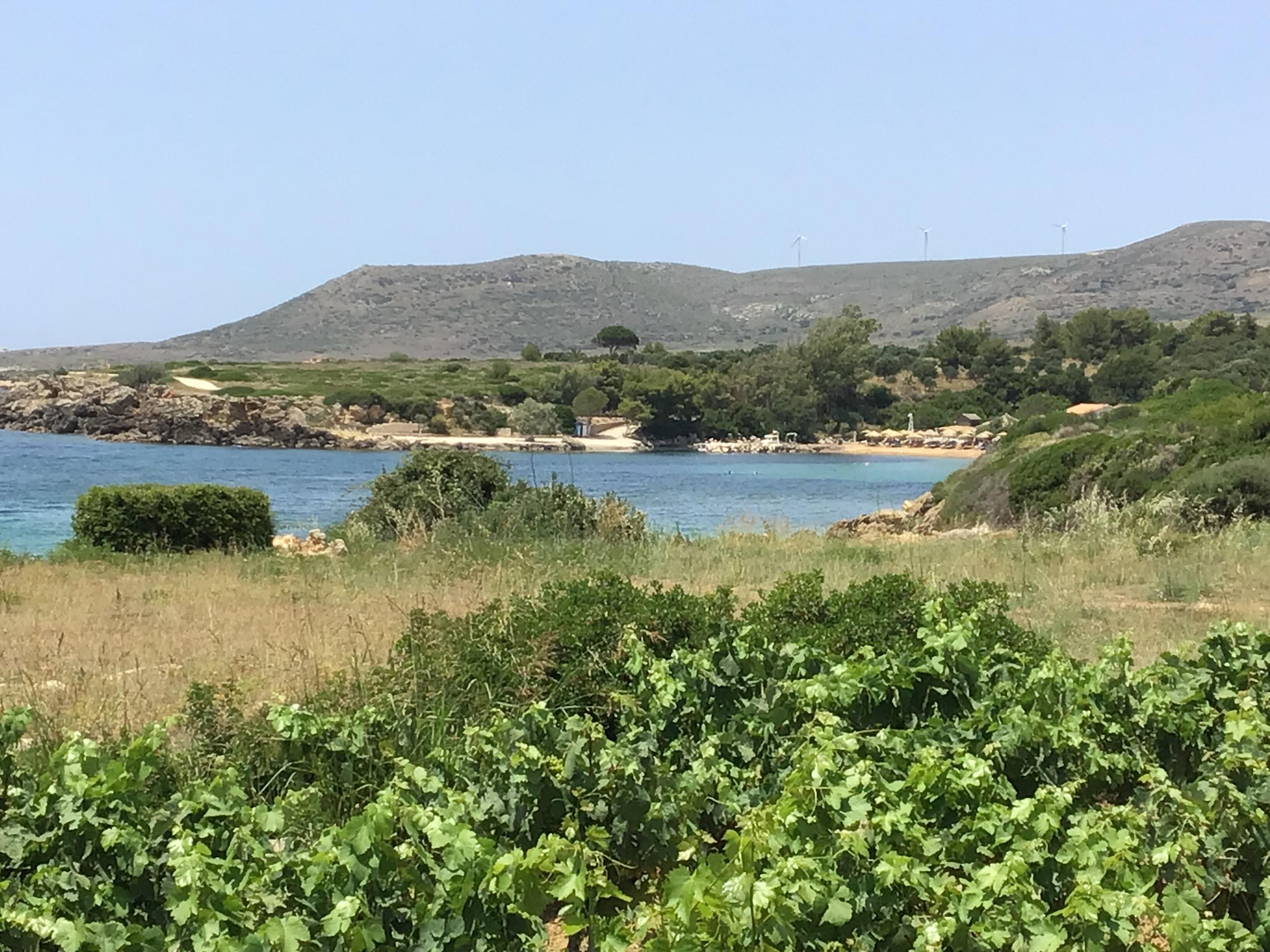 View from the villa