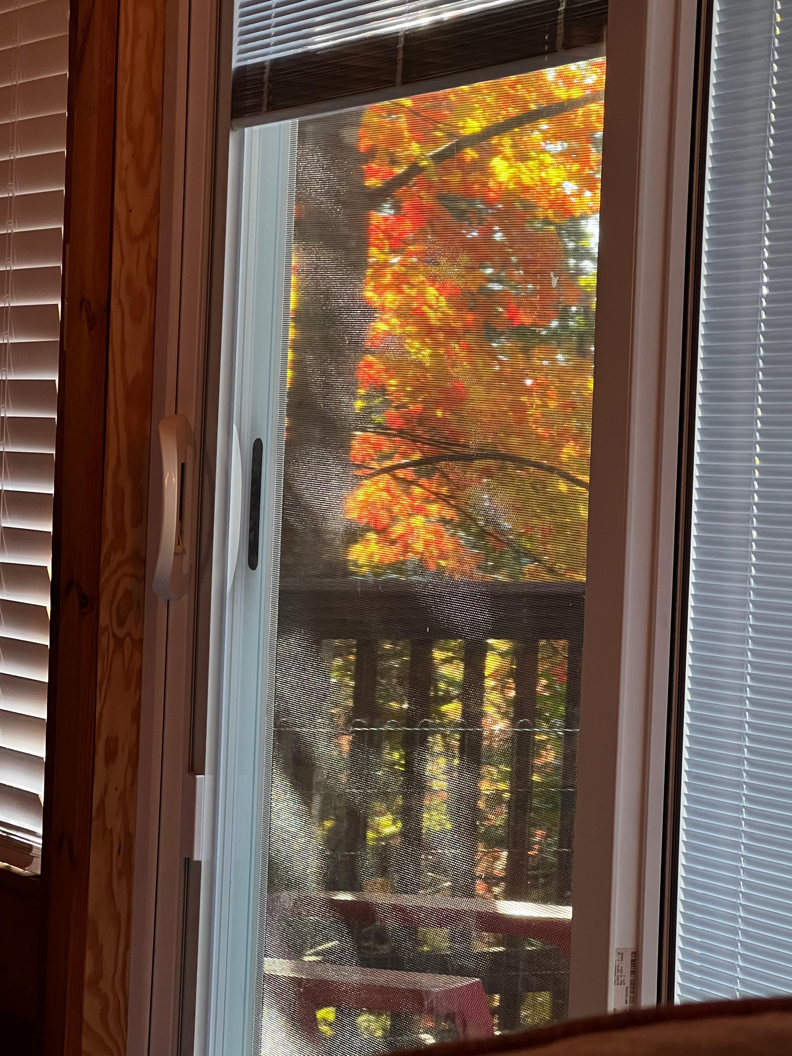 Just a quick snap of the view from the den/living room out onto the deck!  Such relaxing scenery without even leaving the cabin!