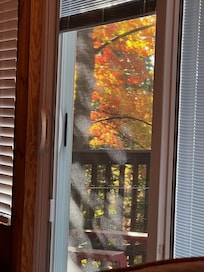 Just a quick snap of the view from the den/living room out onto the deck! Such relaxing scenery without even leaving the cabin!