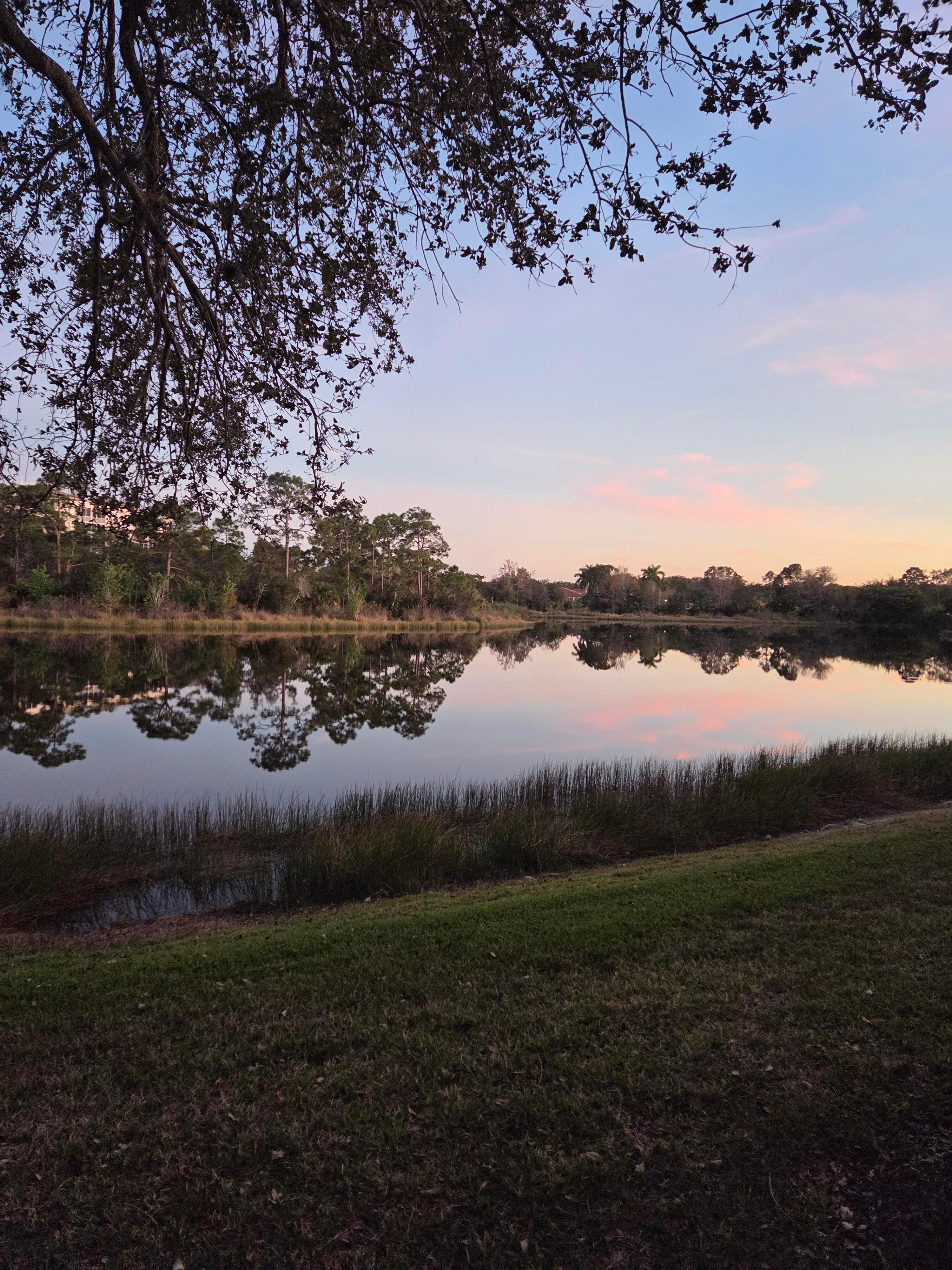 Beautiful view is so relaxing! 