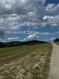 Omgeving
