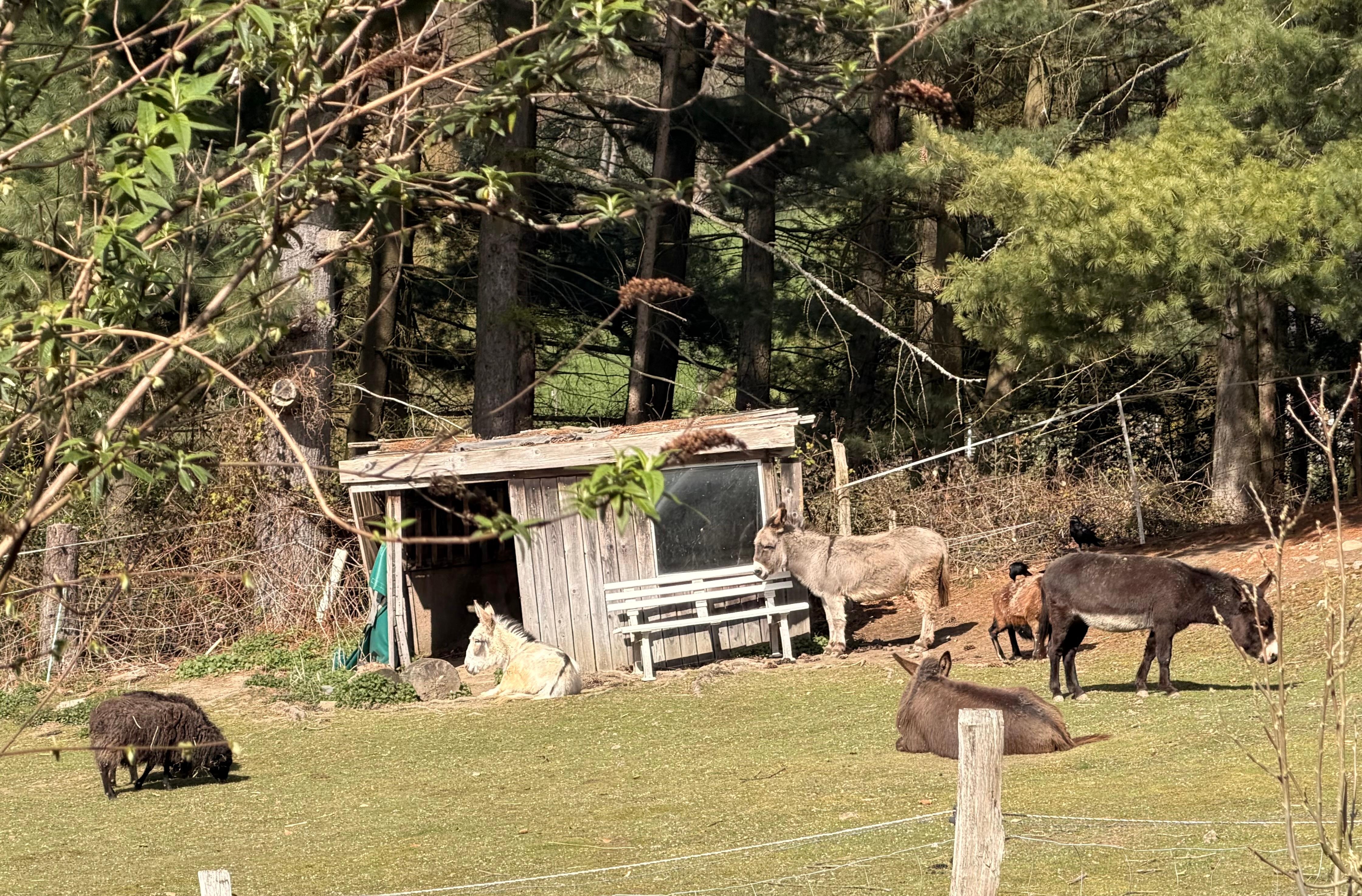 Blick aus dem Küchenfenster