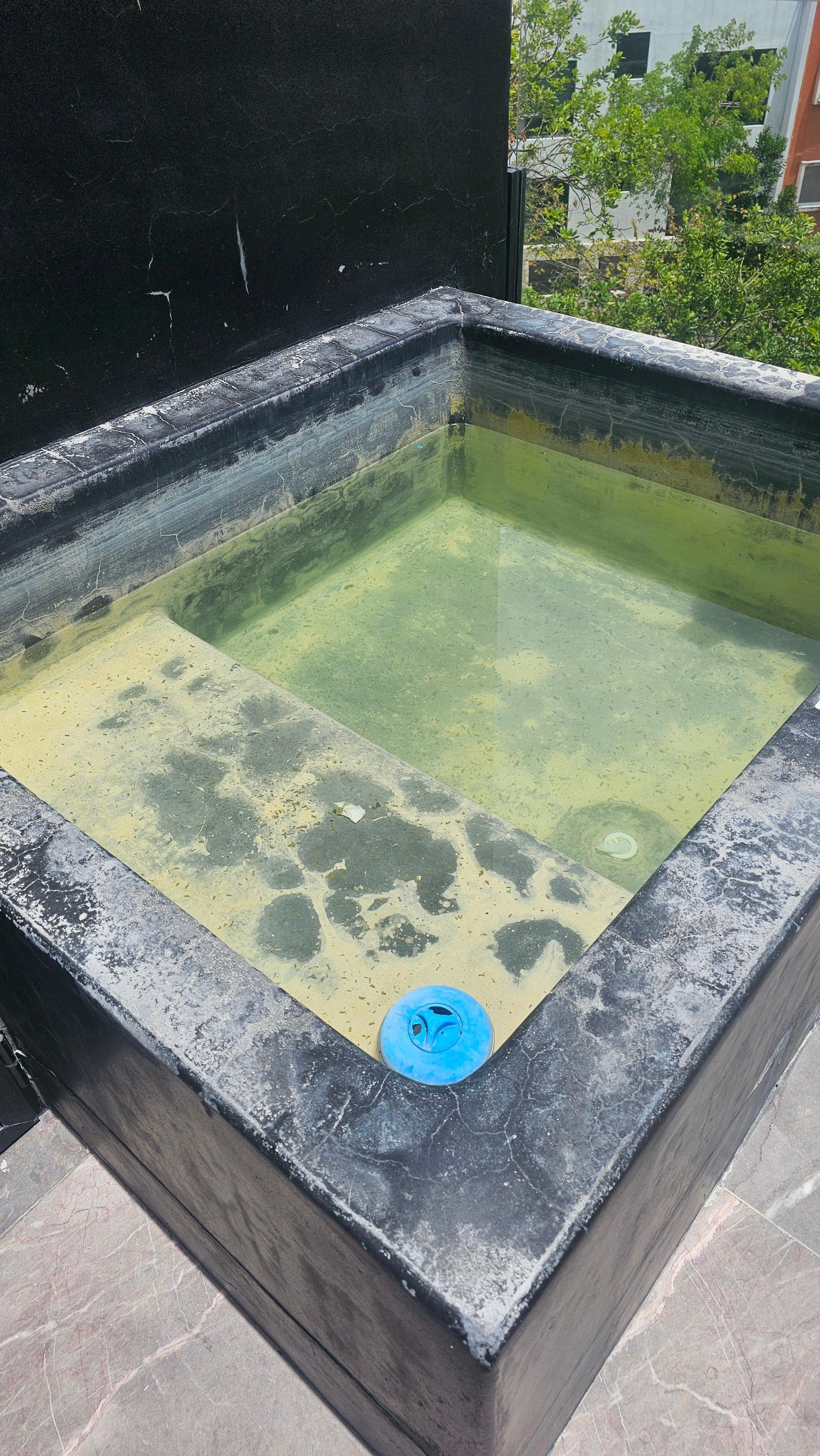 Private pool with rubbish and very green