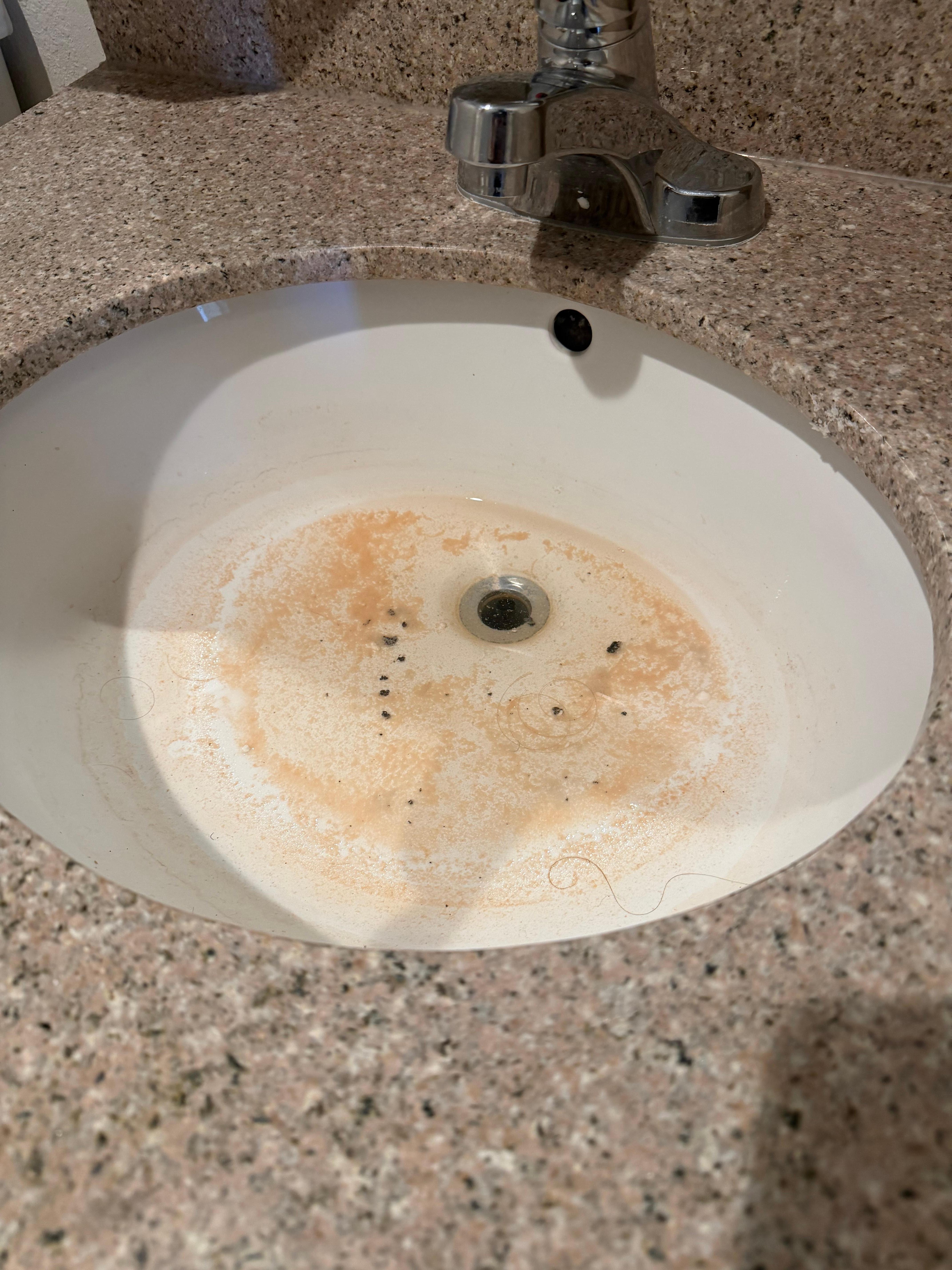 Backed up sink