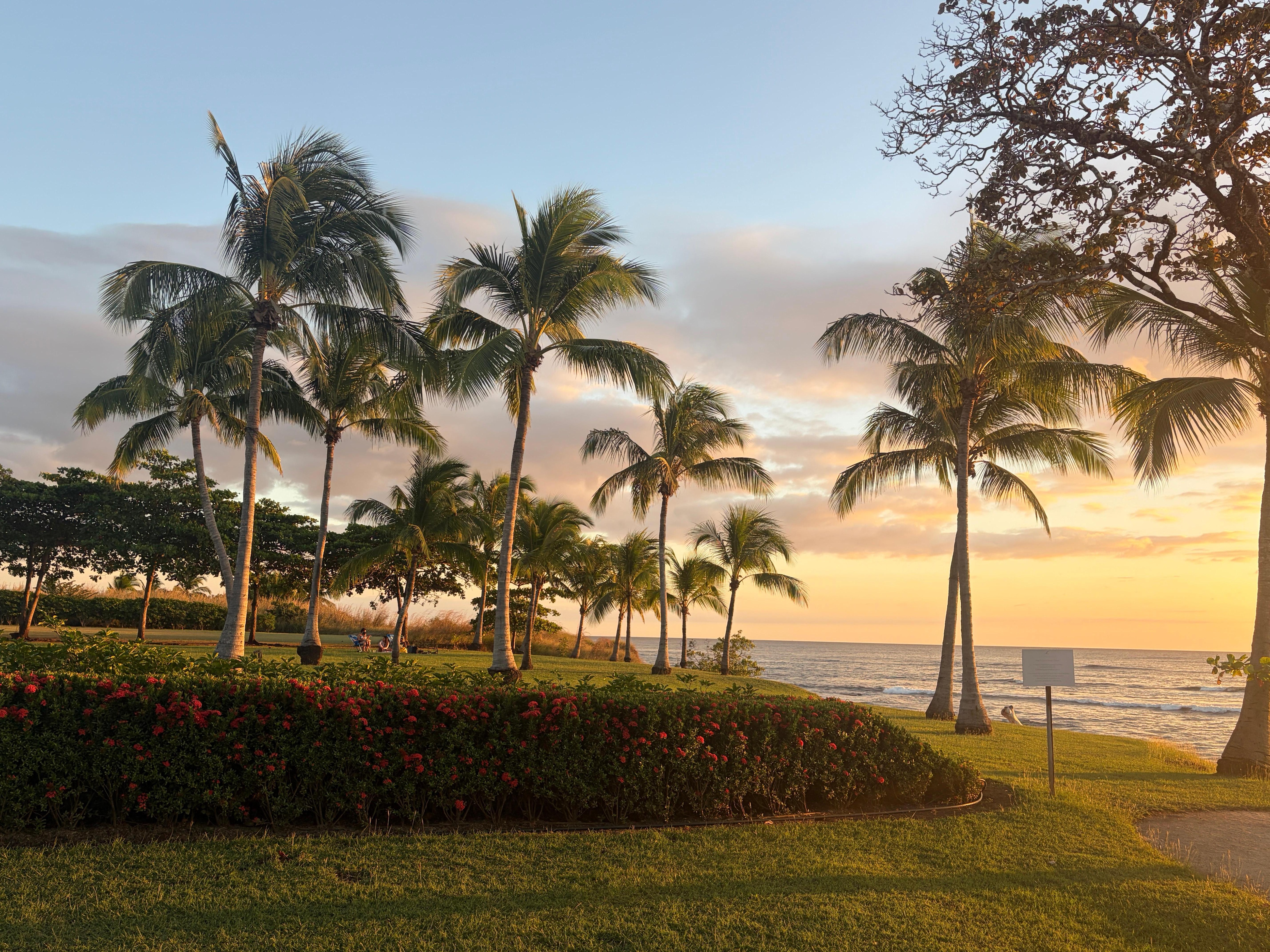 Sunset from the nearby beach