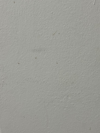 Boogers on the walls