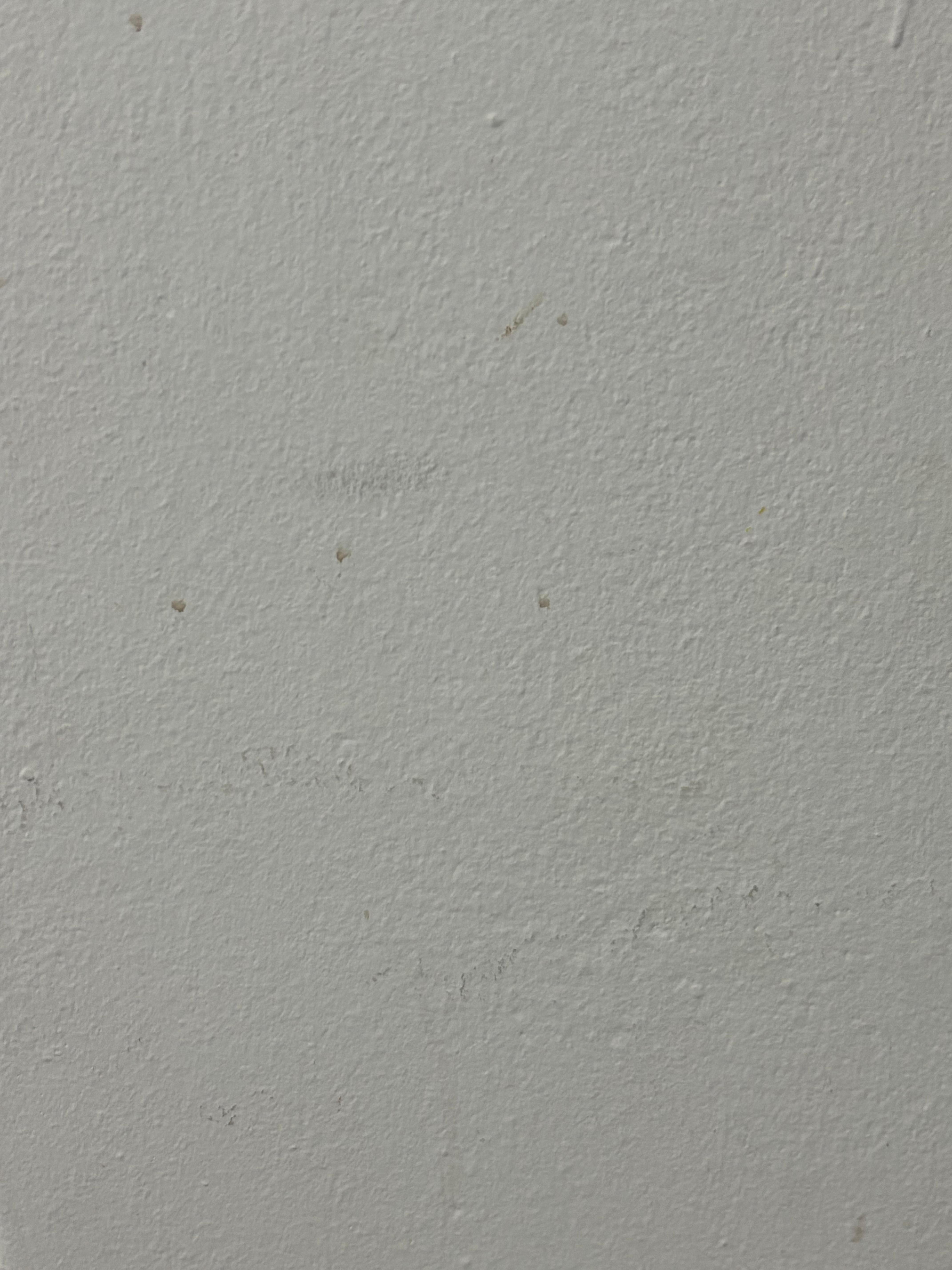 Boogers on the walls