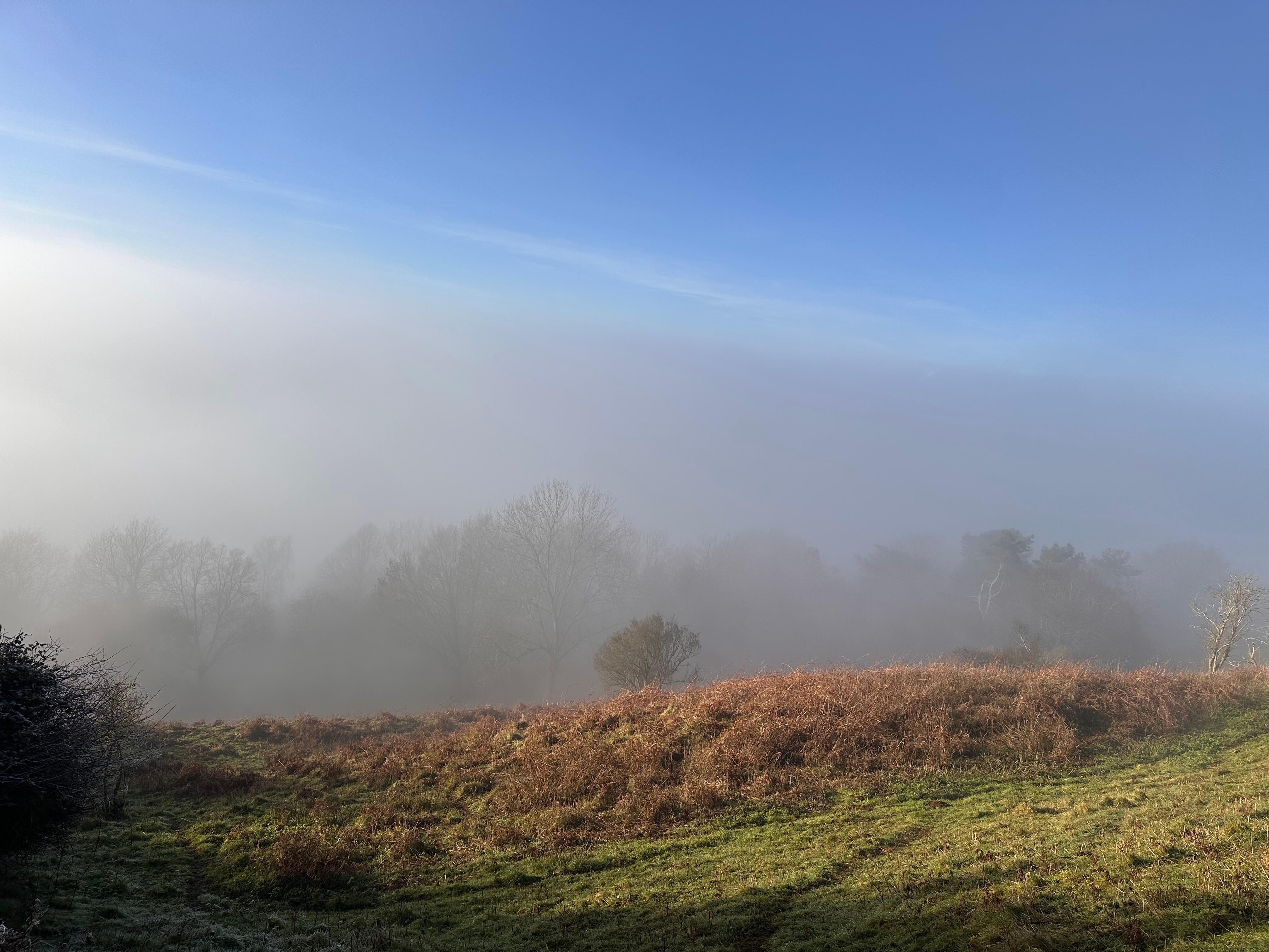 View from the top of Ham hill