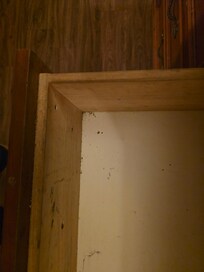 Insect droppings in all drawers.