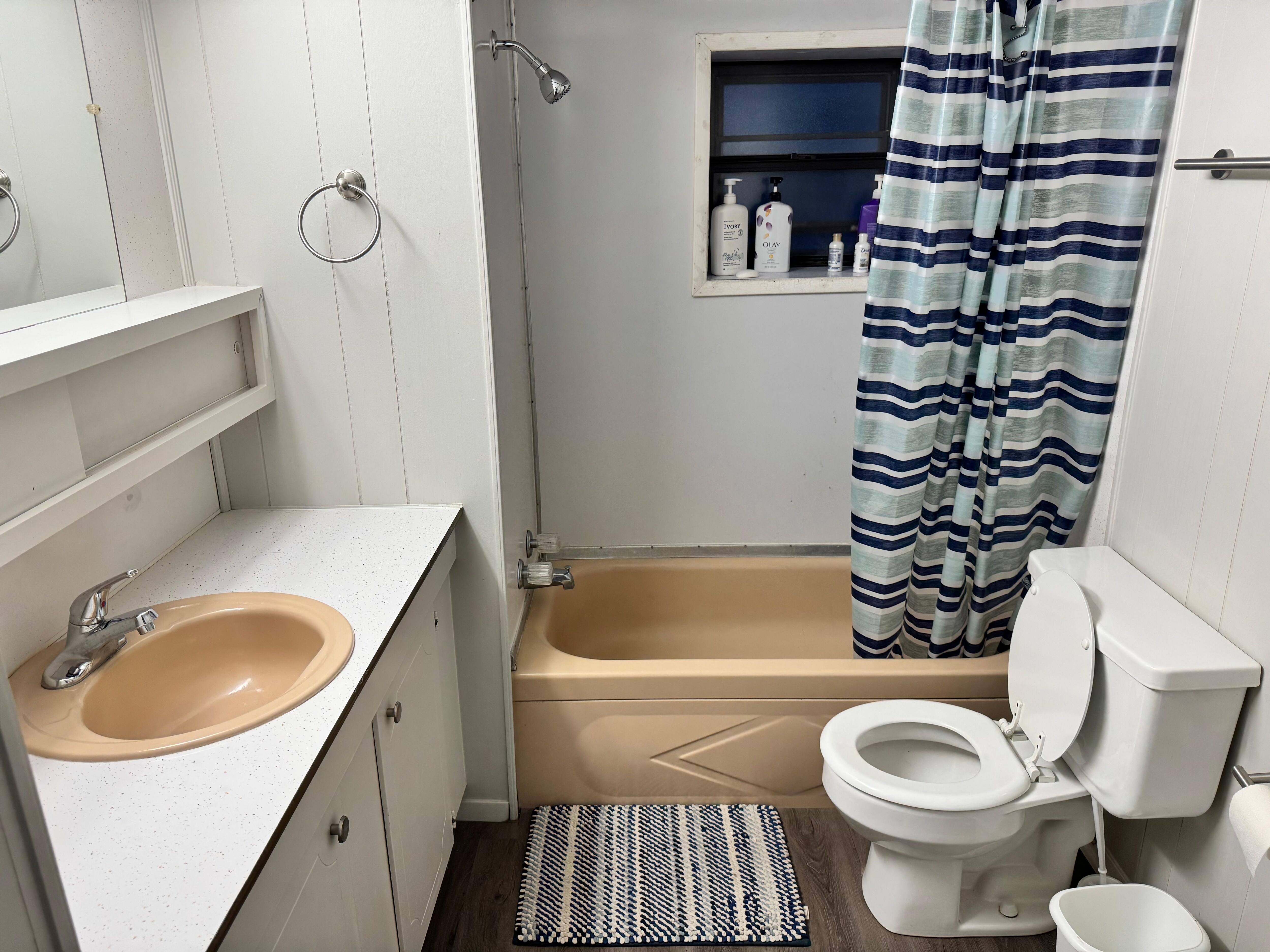 Guest bathroom