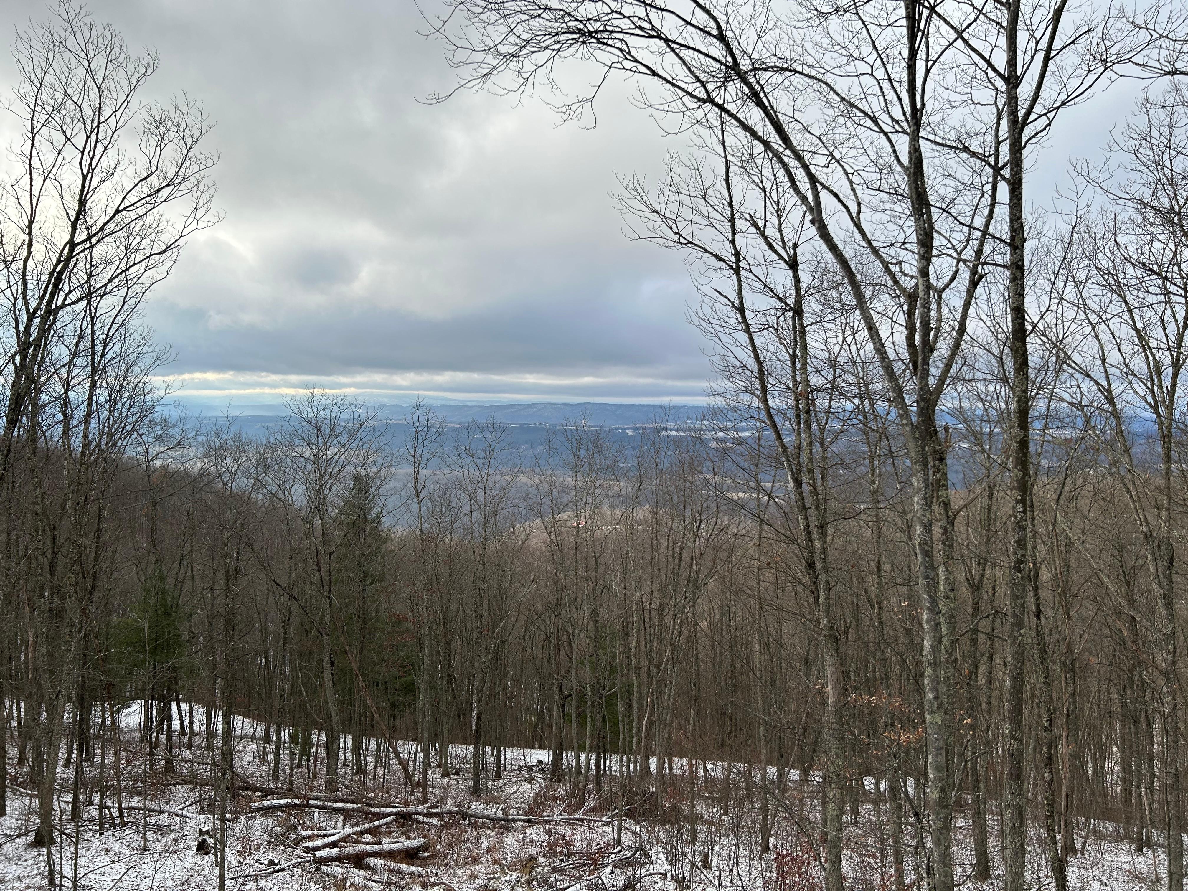 Beautiful views from the great room