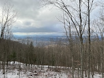 Beautiful views from the great room