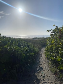 Path to beach