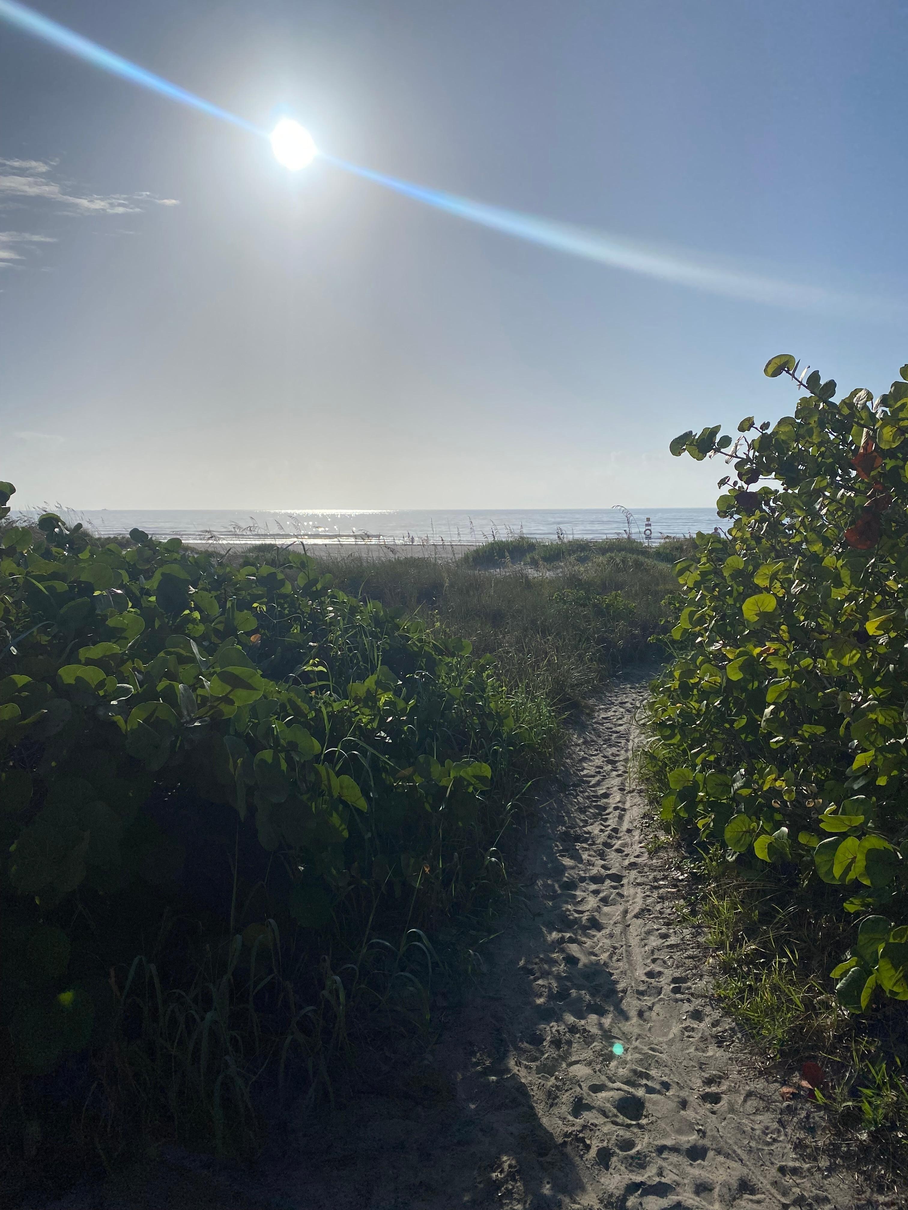 Path to beach