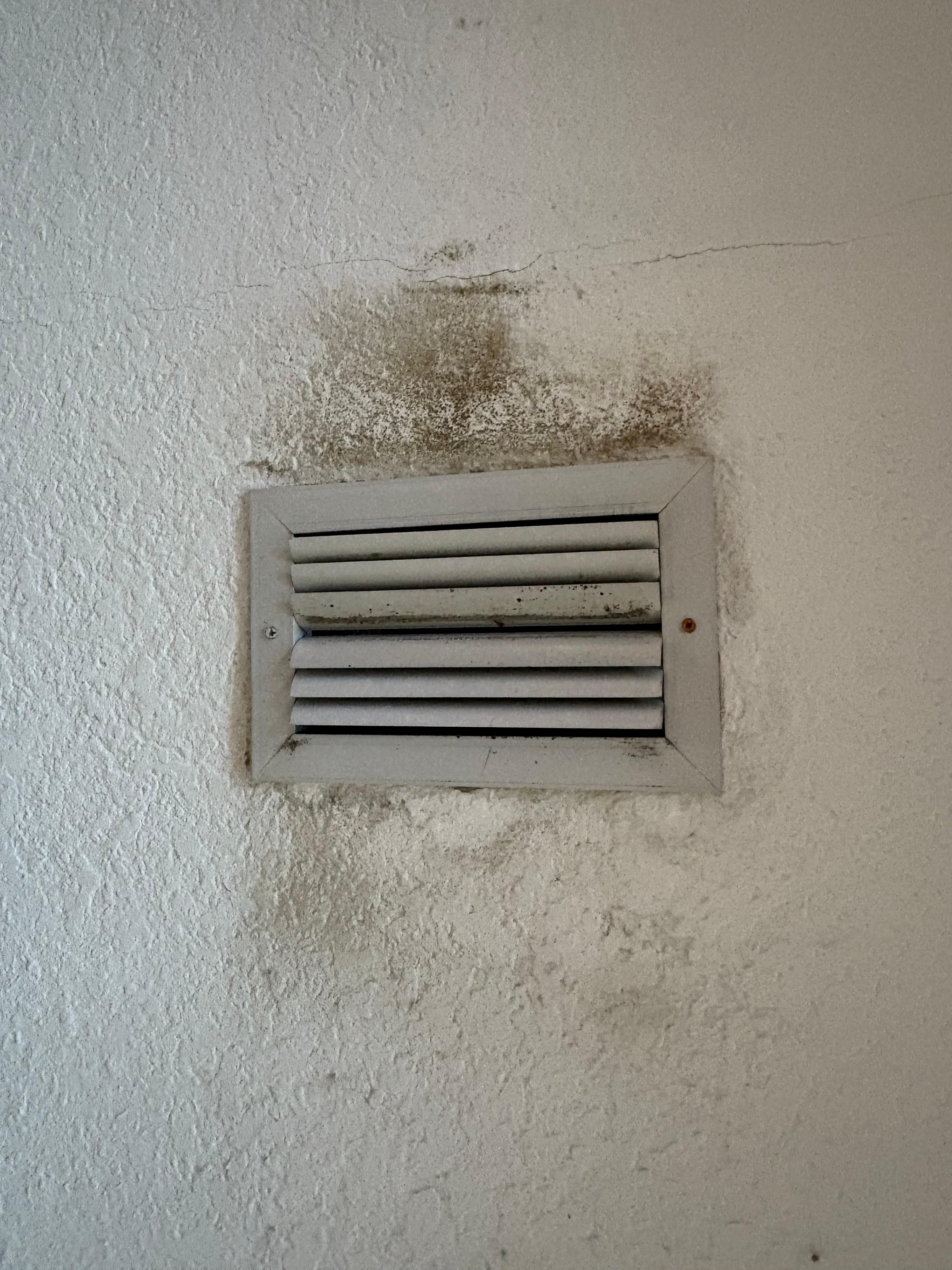 Mold in vents 