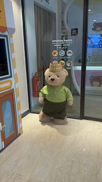 Mr. Teddy