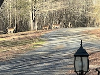 Saw 7 doe on our last evening there…