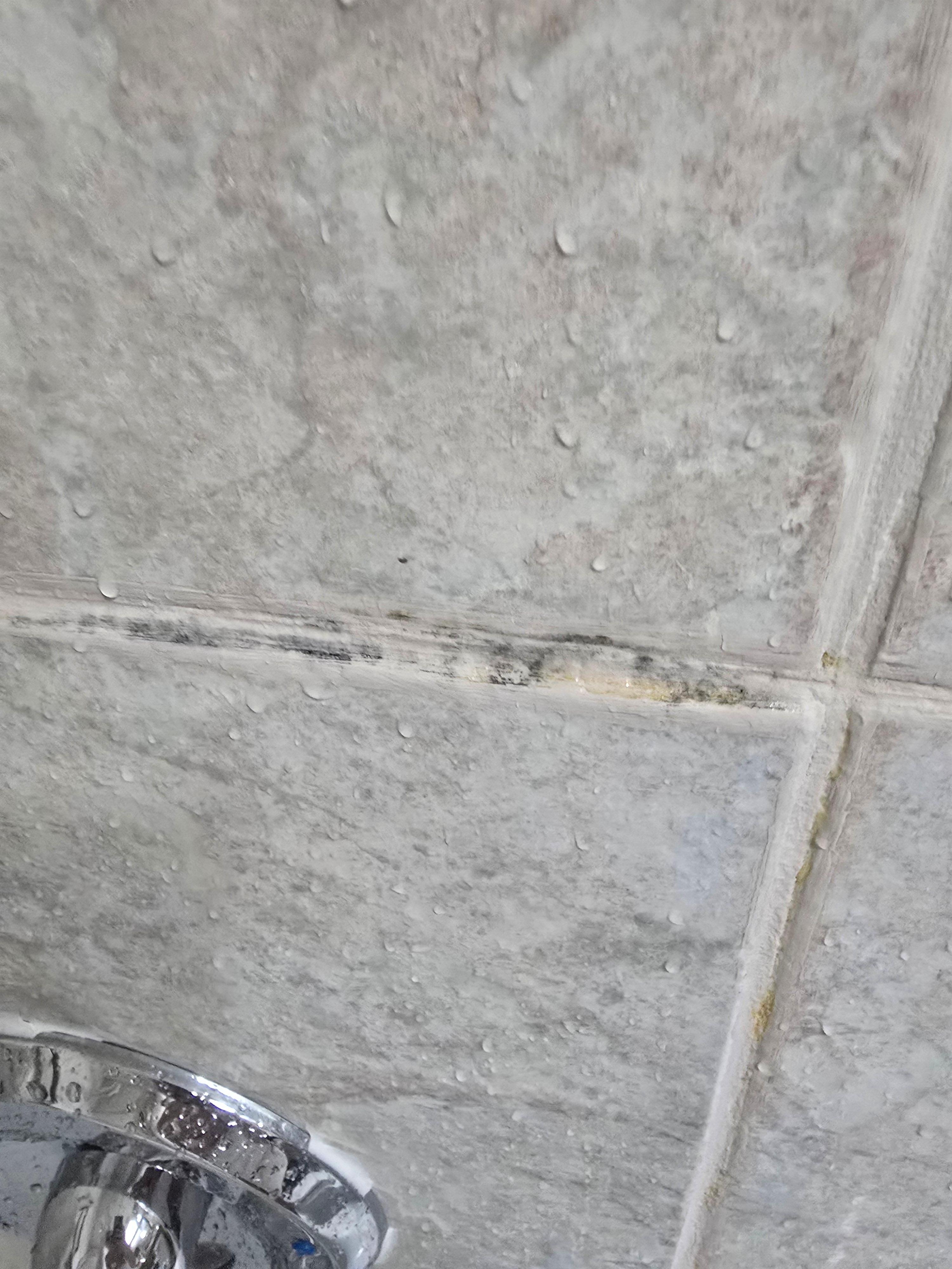 Think this is mold in the shower