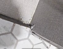 Hole in the wall where the ants invaded