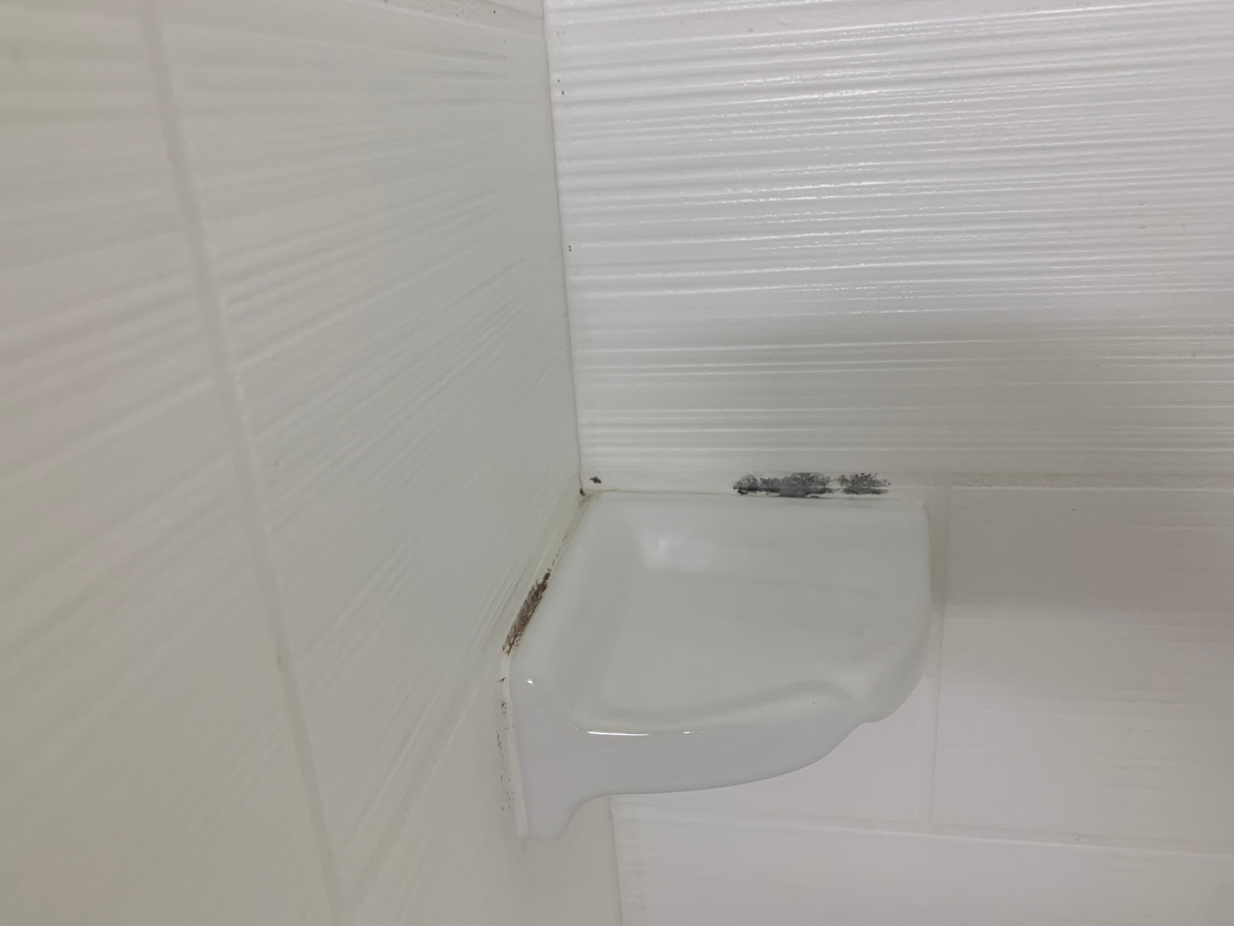 Black mold