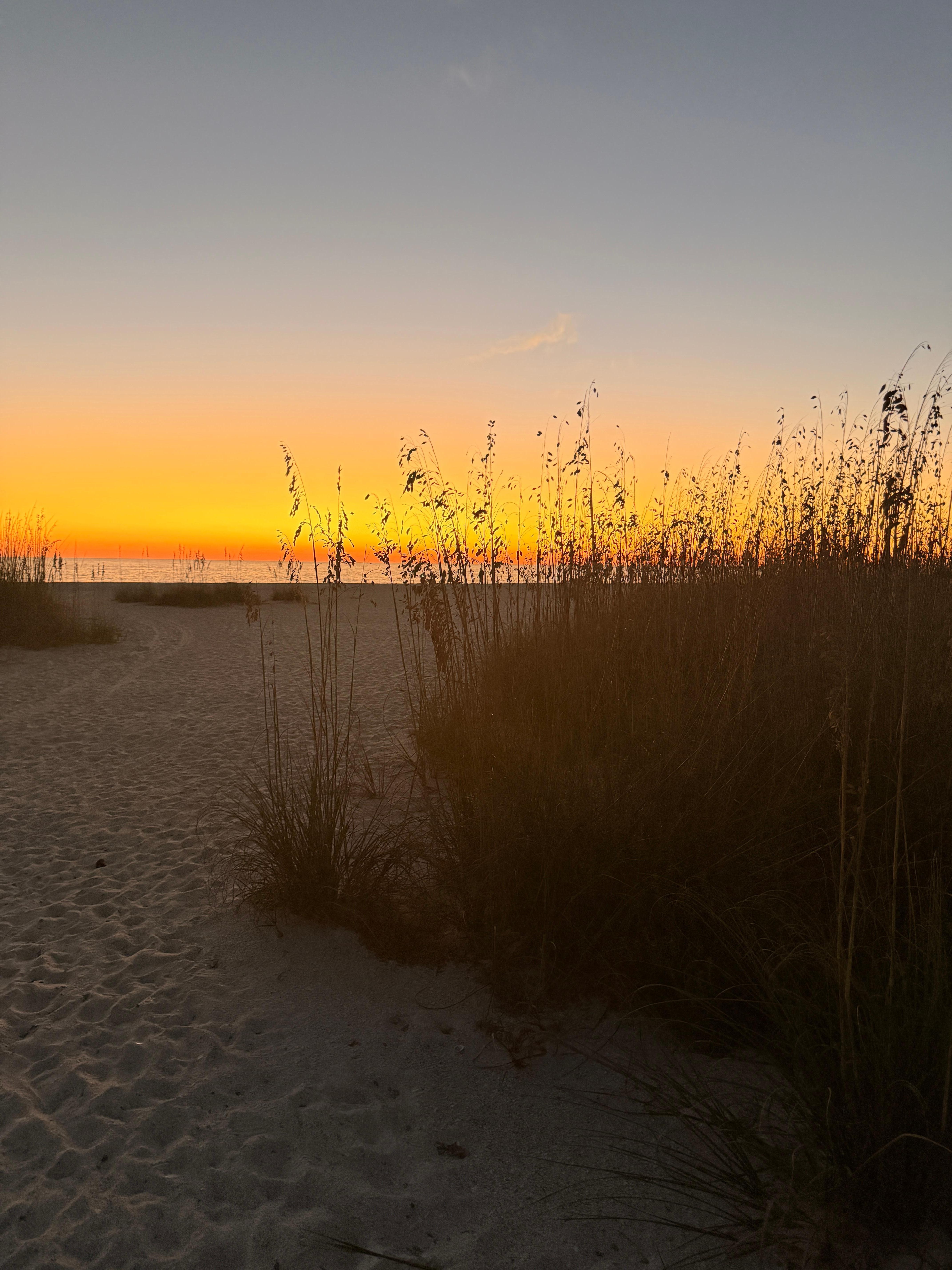 Sunset walk home from the beach