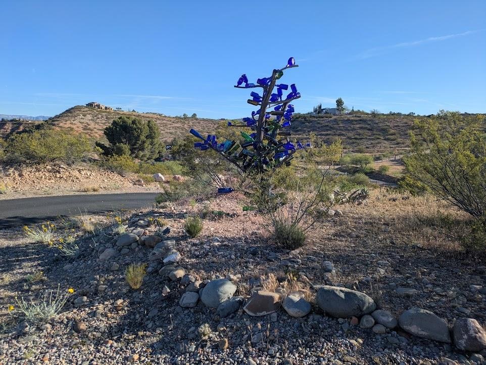 Easy to find the house by this tree!