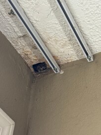Moldy wood beam sticking through