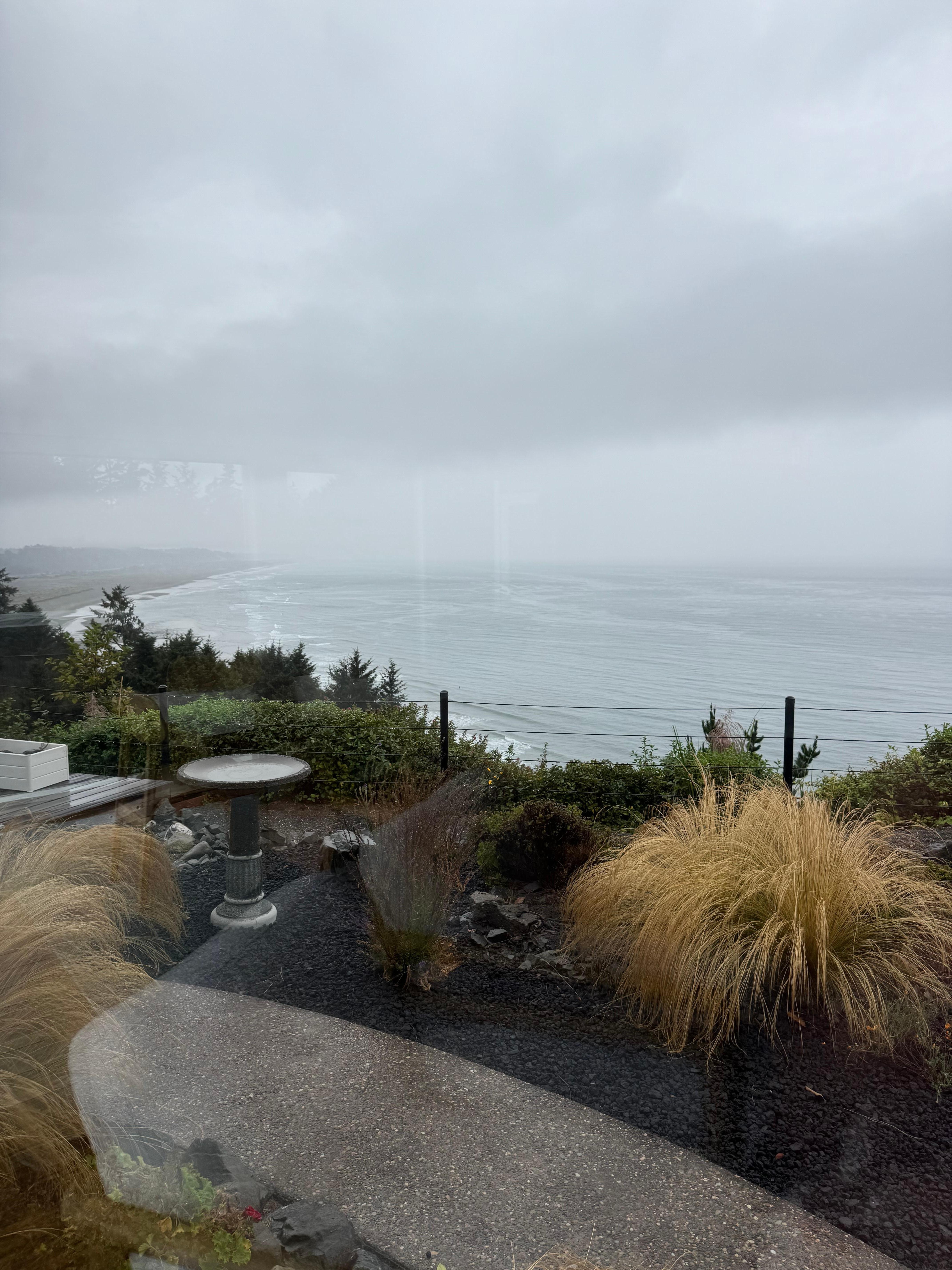 View from the living room