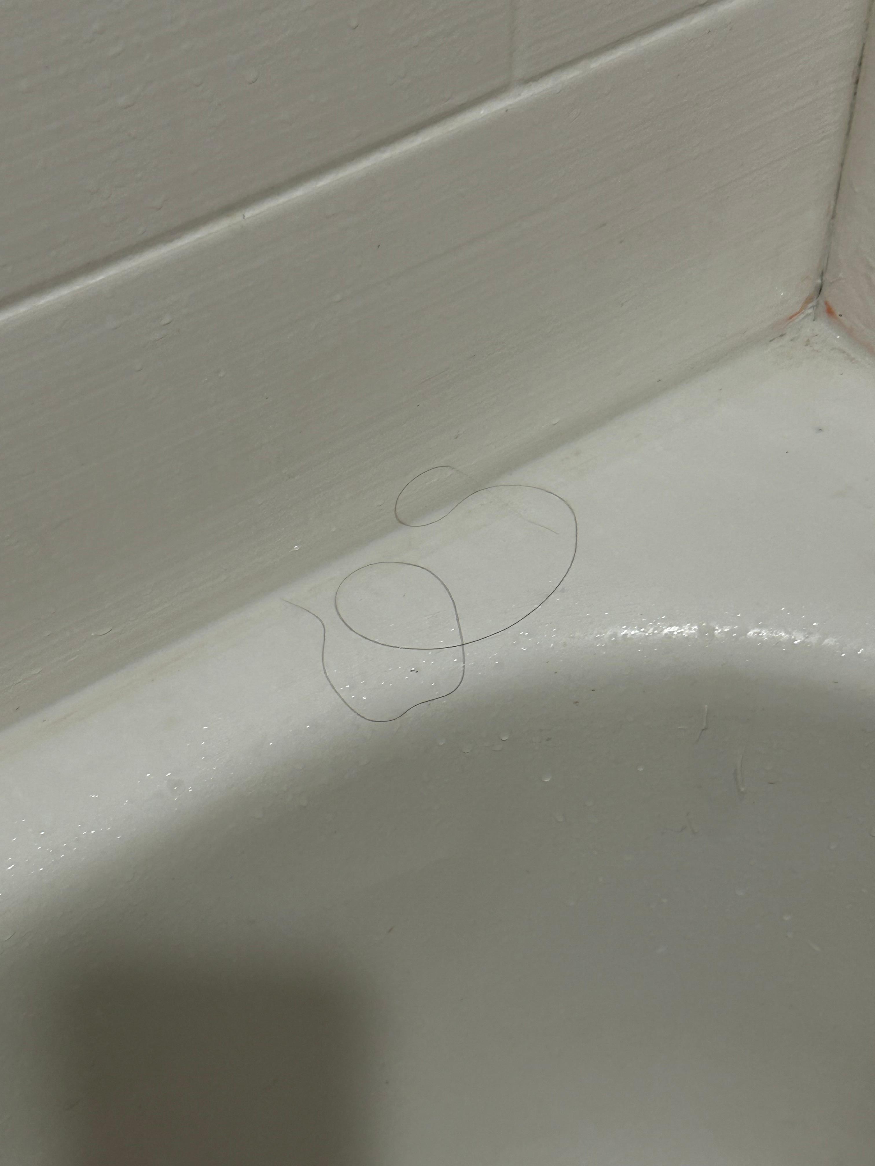 More hair in the shower