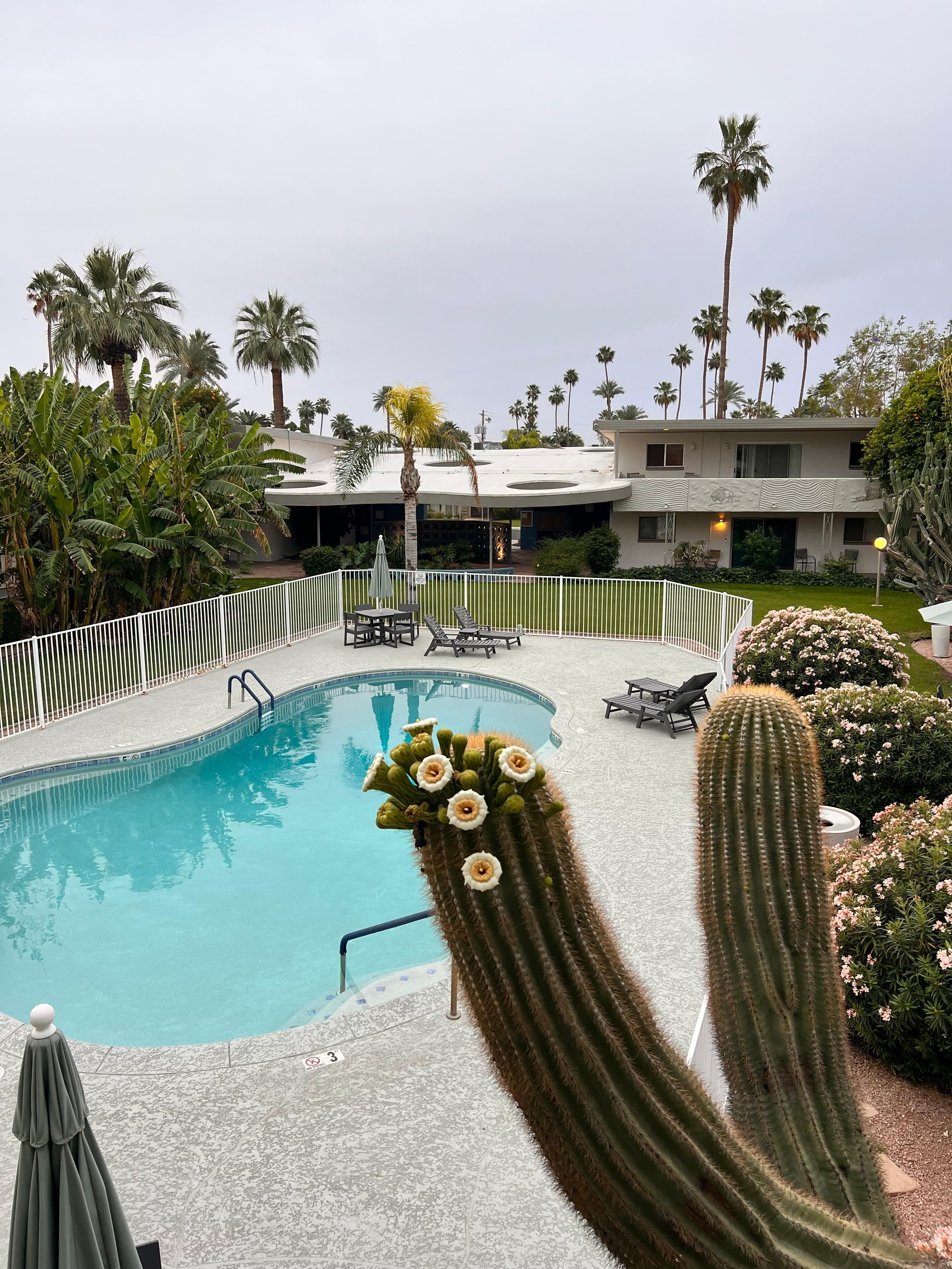 Pool area (8 lounger chairs and two tables with umbrellas) (grill and picnic tables not pictured) 