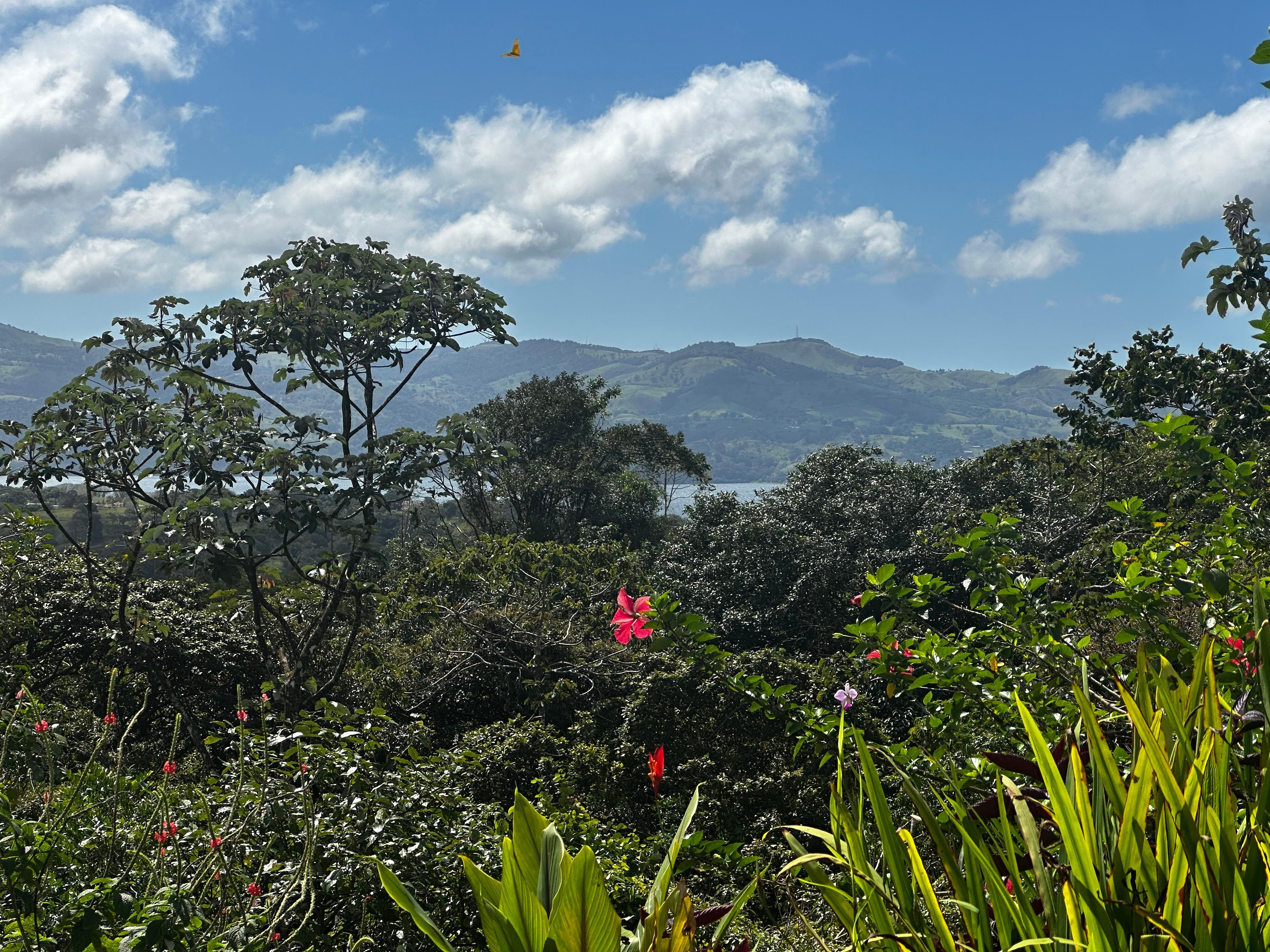 This is the view from the patio! Absolutely gorgeous!