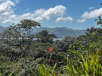 This is the view from the patio! Absolutely gorgeous!