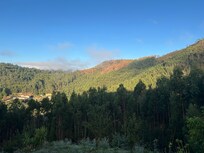 Bom dia