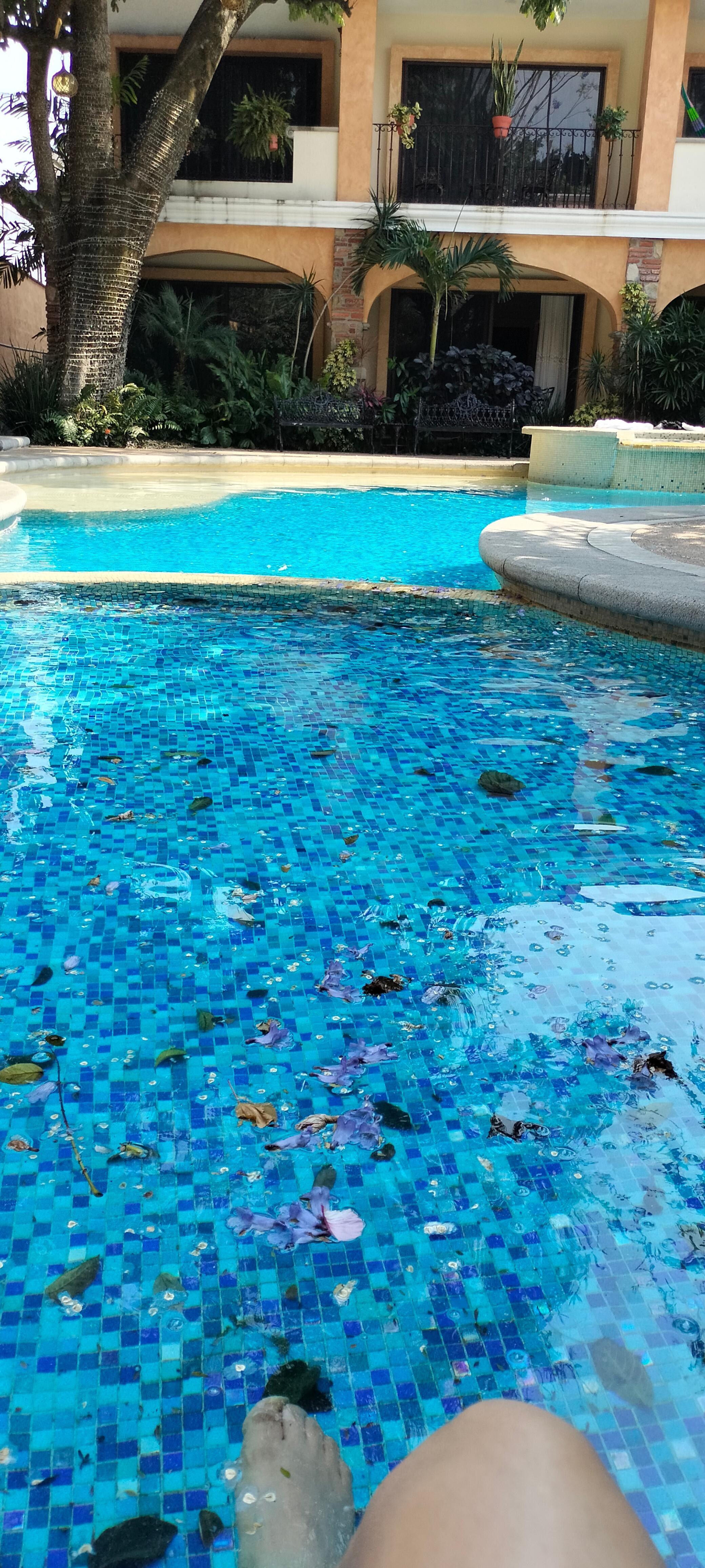 Alberca del hotel . Chapoteadero y jacuzzi juntos todos.